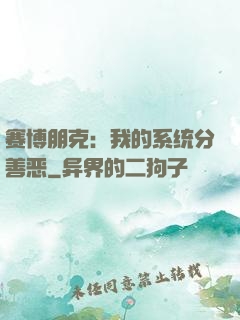 赛博朋克：我的系统分善恶