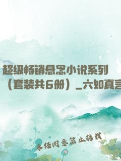 超级畅销悬念小说系列（套装共6册）