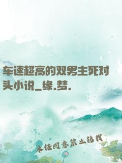 车速超高的双男主死对头小说