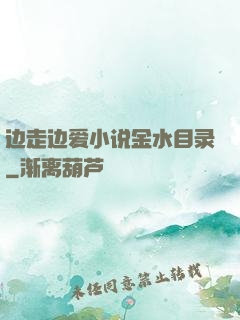 边走边爱小说金水目录