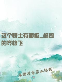 这个骑士有面板