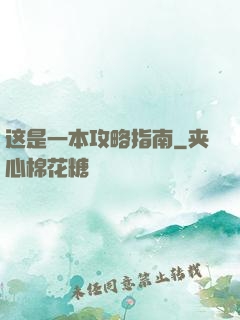 这是一本攻略指南