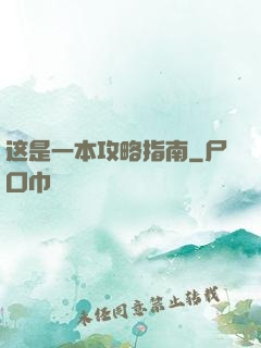 这是一本攻略指南