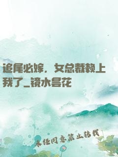 追尾必嫁，女总裁赖上我了