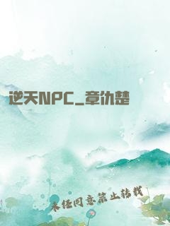 逆天NPC