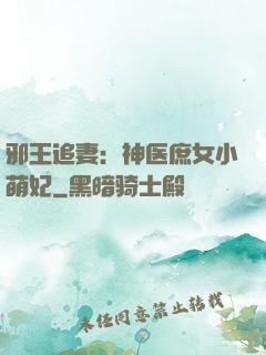 邪王追妻：神医庶女小萌妃