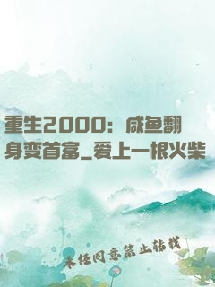 重生2000：咸鱼翻身变首富