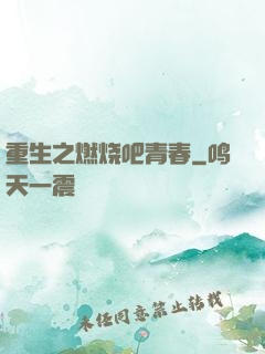重生之燃烧吧青春