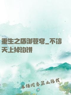 重生之盾御苍穹