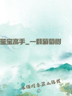鉴宝高手