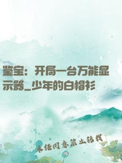 鉴宝：开局一台万能显示器