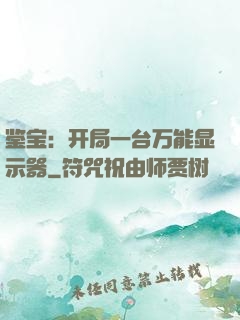 鉴宝：开局一台万能显示器