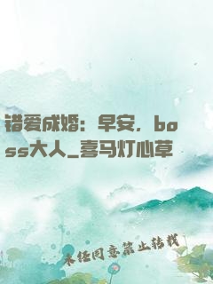 错爱成婚：早安，boss大人
