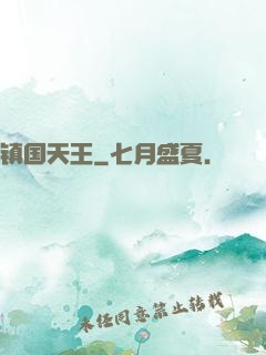 镇国天王