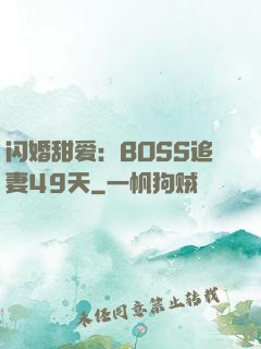 闪婚甜爱：BOSS追妻49天