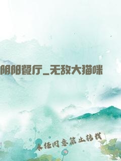 阴阳餐厅