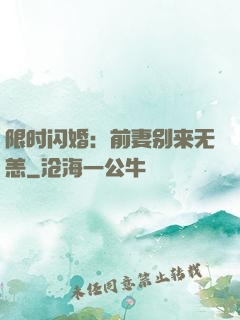 限时闪婚：前妻别来无恙