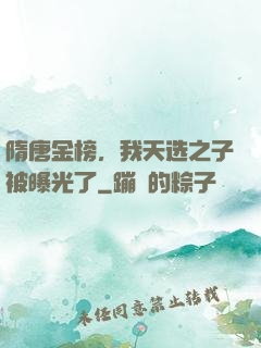 隋唐金榜，我天选之子被曝光了