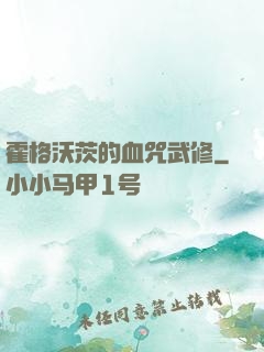 霍格沃茨的血咒武修