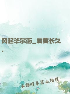 风起华尔街