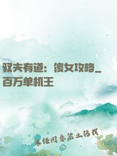 驭夫有道：傻女攻略