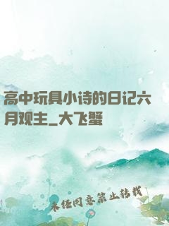 高中玩具小诗的日记六月观主