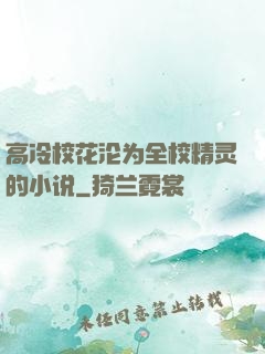 高冷校花沦为全校精灵的小说