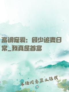 高调宠爱：顾少追妻日常