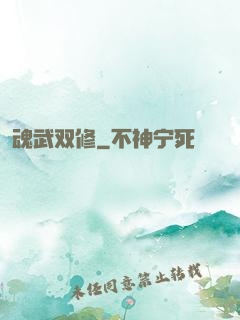 魂武双修