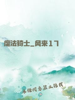魔法骑士