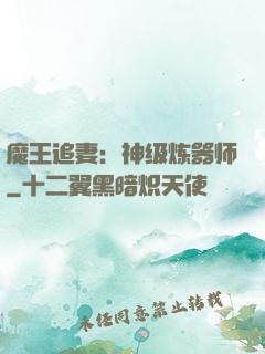 魔王追妻：神级炼器师