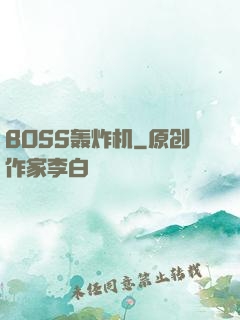 BOSS轰炸机