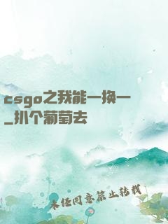 csgo之我能一换一