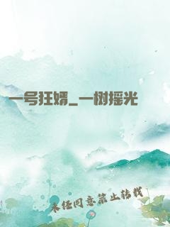 一号狂婿
