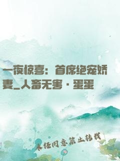 一夜惊喜：首席绝宠娇妻