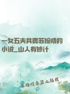 一女五夫共妻苏婉晴的小说