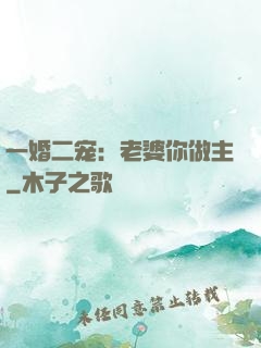 一婚二宠：老婆你做主