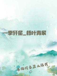 一拳歼星