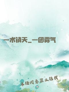 一术镇天