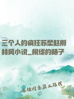 三个人的疯狂苏柔赵刚林风小说