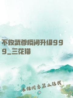 不败武尊瞬间升级999