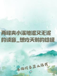 两峰夹小溪地湿又无泥的读音