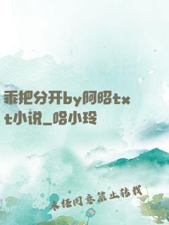 乖把分开by阿昭txt小说