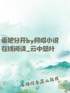乖把分开by阿昭小说在线阅读