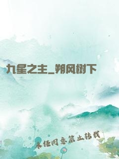 九星之主