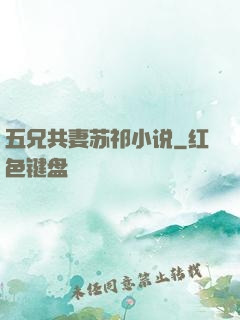 五兄共妻苏祁小说