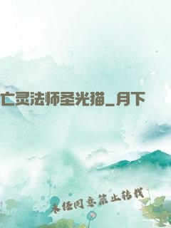 亡灵法师圣光猫