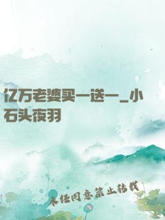 亿万老婆买一送一