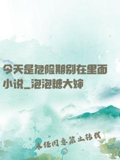 今天是危险期别在里面小说