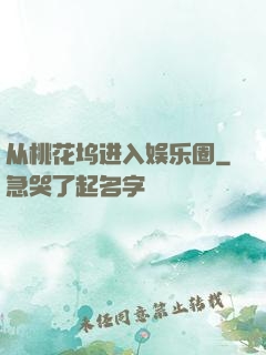 从桃花坞进入娱乐圈